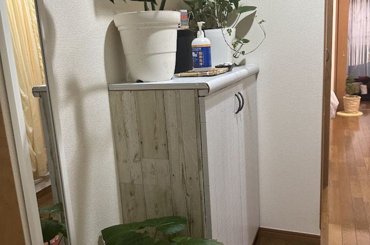 入口の観葉植物