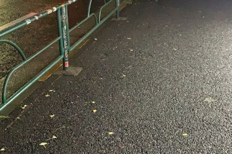 雨の後