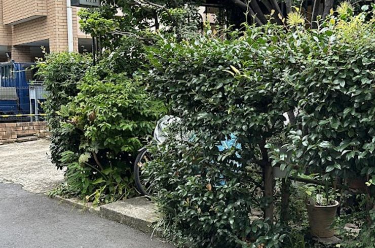 隠れ家のコーヒーショップ